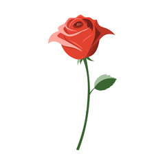 Red rose isolated on white background. Vector illustration. Flat style.