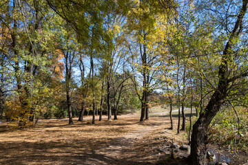 Obraz premium Autumn view of South Park in city of Sofia, Bulgaria