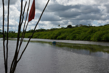 Fototapeta premium Canoes docked on the Jaguaripe River