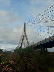 bridge over the river