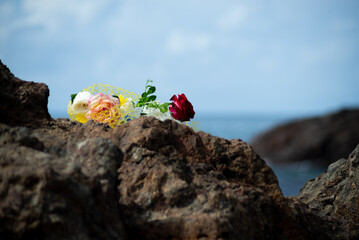 Flowers on top of a beach rock.