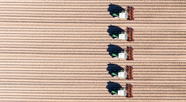 Aerial view of tractors ploughing fields in the agricultural sector, e.g. asparagus, Bergstrasse, Hesse, Germany, Europe