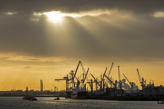 Silhouettes, loading cranes, Hamburg, Germany, Europe