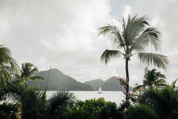 Fototapeta na wymiar View of the bay and boats through the palm trees in Saint Lucia on a hazy day 