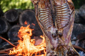 The Best Asado in Argentina. Grilled Lamb with Branches from Patagonia, Argentina.