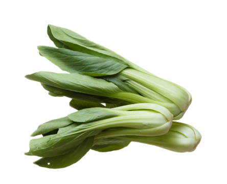 Kale fly in mid air, green fresh vegetable chinese kale falling. Organic fresh vegetable with eaten leaf of chinese kale, heap close up texture. White background isolated freeze motion