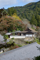 秋の長谷寺　月輪院遠望　奈良県桜井市初瀬