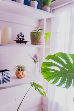 room, interior, home, furniture, bedroom, bed, house, design, table, chair, lamp, kitchen, sofa, luxury, nobody, living, wall, decor, indoors, window, hotel, child, apartment, architecture, indoor