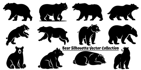 Vector silhouette bear, various bear silhouettes on the white background