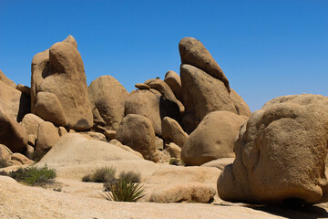rocks in the desert