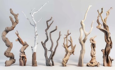 different kinds of branches of wood, elongated shapes, white background