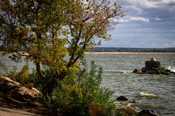 Color horizontal photo, leafy tree on the bank of the river, waves rolling on the concrete slope of the shoreline, cityscape on a sunny day.