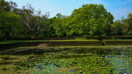 Sigiriya rock fortress and water gardens UNESCO site,