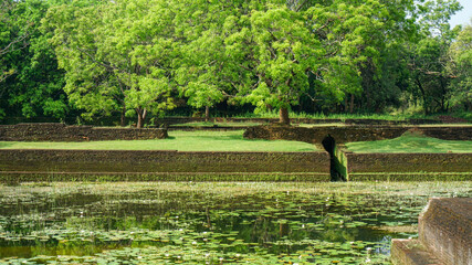 Sigiriya rock fortress and water gardens UNESCO site,