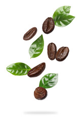 Roasted coffee beans and green leaves in air on white background