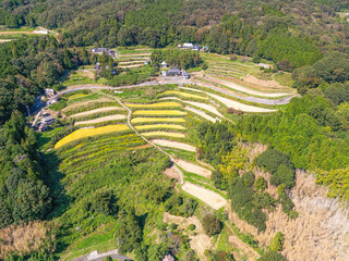 小山棚田