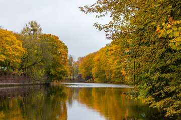 A river runs through a forest of yellowleaved trees under a cloudy sky