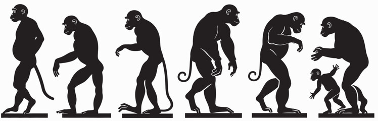 Fototapeta premium evolution from primate monkey