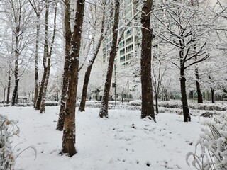 korea apartment snow image