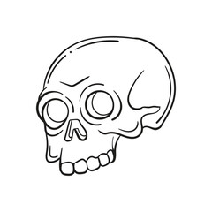 illustration vector graphic of human skull sketch