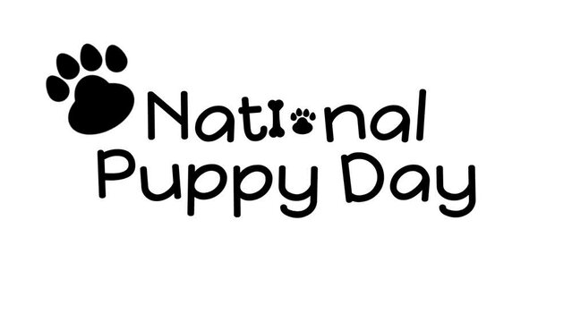 National Puppy Day animated national animal day national puppy alpha 4k looping background puppy day greetings