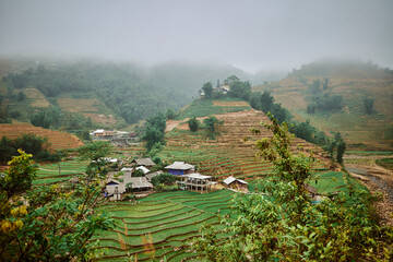 village rice fields and misty mountains in sapa, vietnam - 742191802