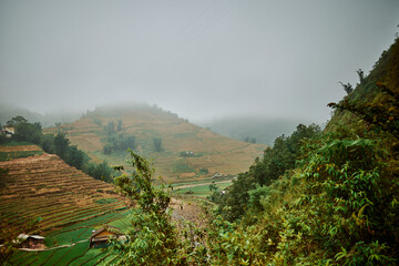 village rice fields and misty mountains in sapa, vietnam - 742191845
