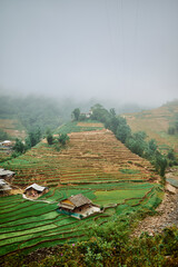 village rice fields and misty mountains in sapa, vietnam - 742191863