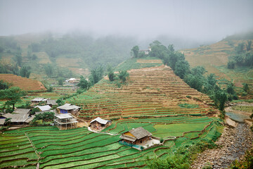 village rice fields and misty mountains in sapa, vietnam - 742191869
