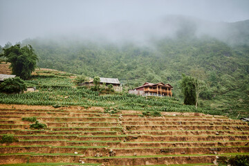 village and terrace rice fields and misty mountains in sapa, vietnam - 742192011