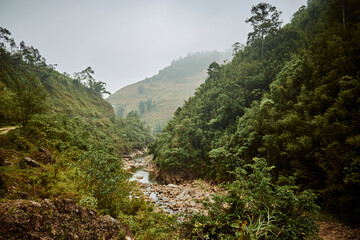 river and misty jungle mountains in sapa, vietnam - 742192021