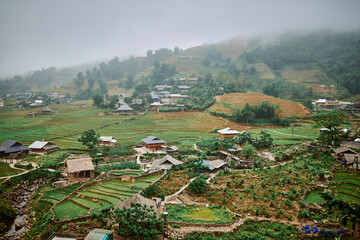 village rice fields and misty mountains in sapa, vietnam - 742192038