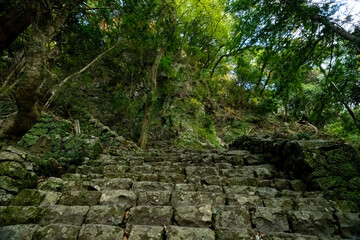 愛知県新城市門谷　秋の鳳来寺山の紅葉