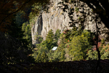 愛知県新城市門谷　秋の鳳来寺山の紅葉