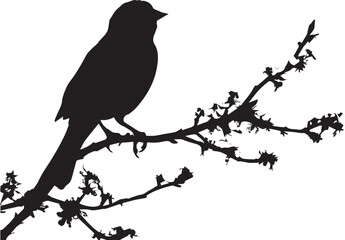 Black silhouette Sparrow bird on the branch white background
