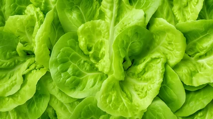 Poster The pattern of collard green. Macro photo collard green texture. Fresh green leaf vegetables. Vegetables for diet and healthy food. Organic food. © Jarumas