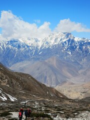 A group of adventurous individuals ascend a towering mountain