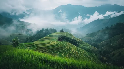 Fotobehang A vista of terraced fields adorned with lush green rice paddies stretching into the distance, where mountains rise against a backdrop of white clouds in a blue sky © Matthew