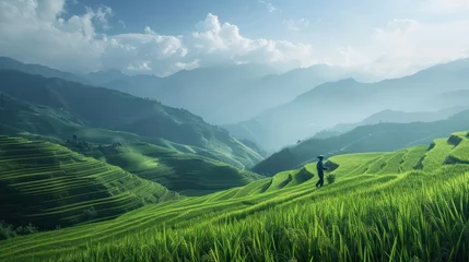 Tuinposter A vista of terraced fields adorned with lush green rice paddies stretching into the distance, where mountains rise against a backdrop of white clouds in a blue sky © Matthew