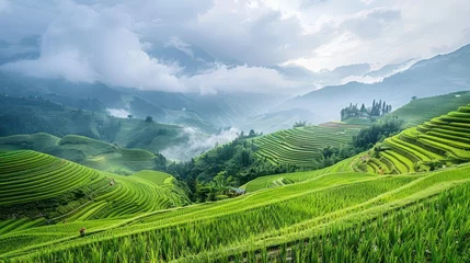 Foto op Plexiglas A vista of terraced fields adorned with lush green rice paddies stretching into the distance, where mountains rise against a backdrop of white clouds in a blue sky © Matthew