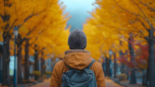 Man with Backpack Walking Down City Street During Yellow Autumn Ginkgo Avenue