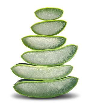 Cut Aloe Vera Gel Stack of leaves as a medicinal Succulent plant with Anti-inflammatory healing properties and as a herbal remedy detoxification also to help with Gastrointestinal health and immune sy