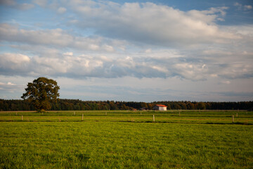 A lush green field stretches out, with a charming barn nestled in the distance, completing the idyllic scenery.