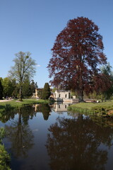 The house appeared inverted, with its towering peaks and elegant architecture reflected flawlessly in the tranquil puddle.