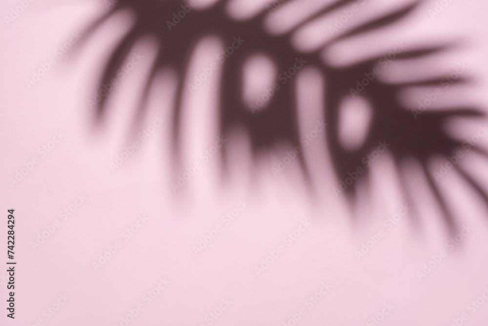 Poster blurred palm fronds in soft light creating a dreamlike pattern