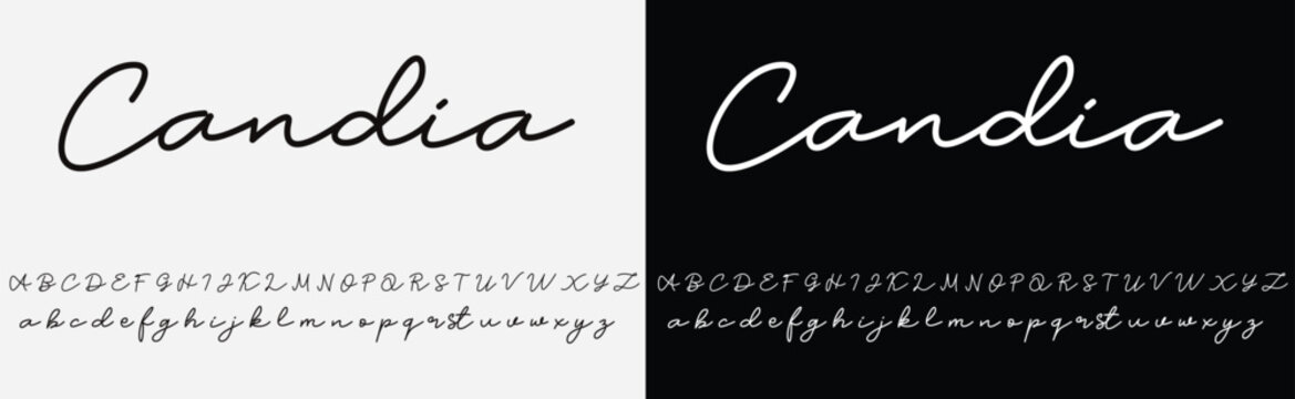 Lettering signature font isolated on grey background. brus style alphabet. Vector logo letters.