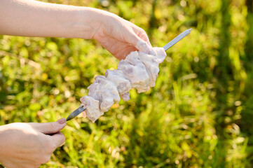 Woman threads fresh raw shish kebab onto skewers during a picnic in nature on a sunny summer day. Family BBQ