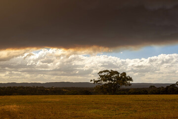 Grassfire smoke cloud over country victoria bacchus marsh and melton - obrazy, fototapety, plakaty