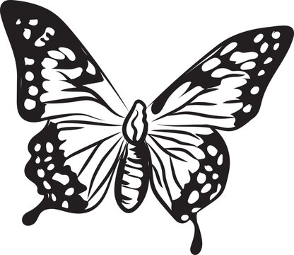 Hand-drawn butterfly icon