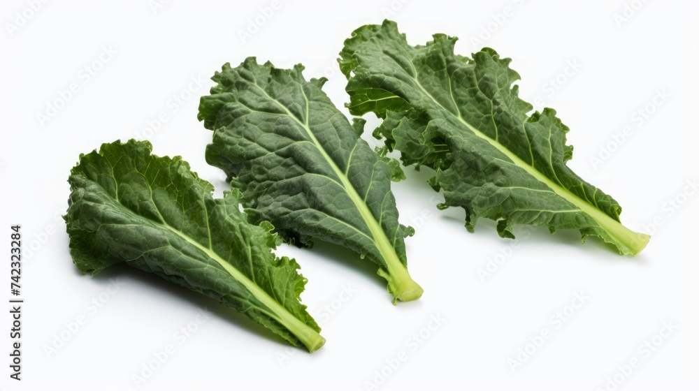Poster three vibrant green kale leaves captured in a close-up realistic photo against a white background ge